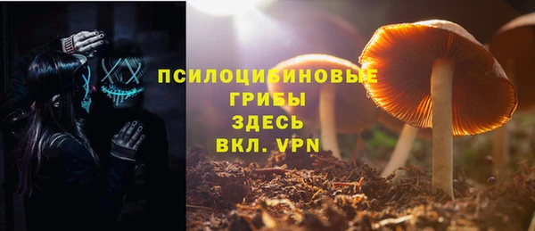 дживик Кинешма