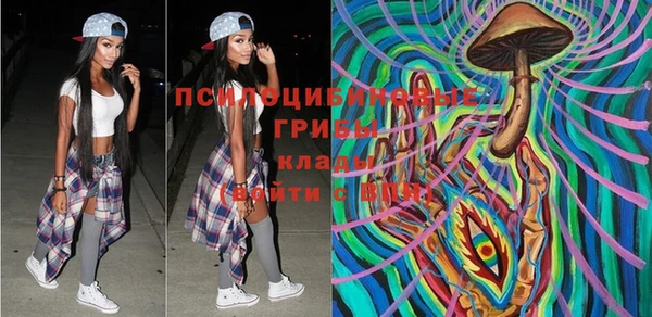 таблы Козельск