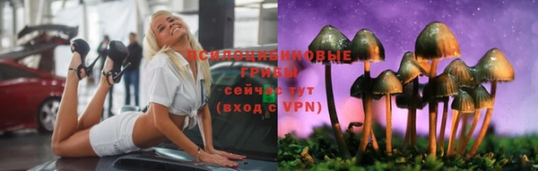 спиды Козловка