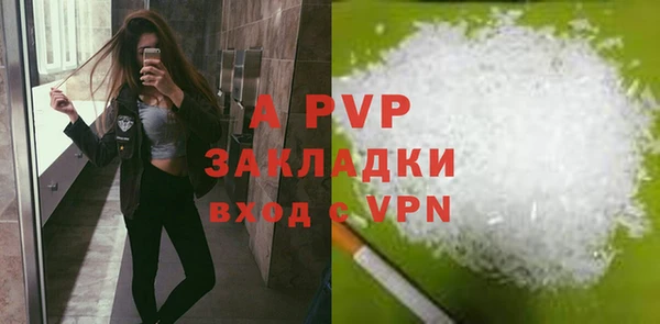 трава Кодинск