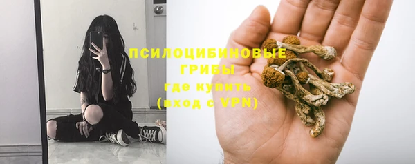трава Кодинск