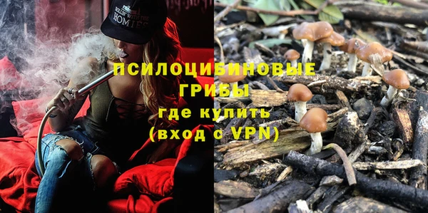 дмт Балахна