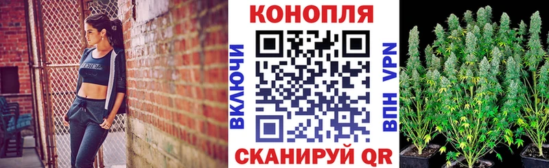 магазин продажи   Ленинградская  МАРИХУАНА марихуана 
